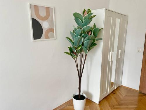 Favoriten Apartment | 110m2 Stylish 4 Bedroom Apartment