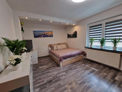 Knittelfeld House | Apartment near Red Bull Ring with garten