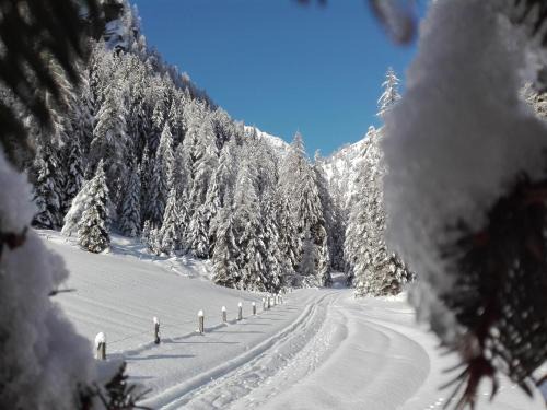 Assling Bed & Breakfast | Bed & Breakfast Dolomiti Bey Haus Pinter