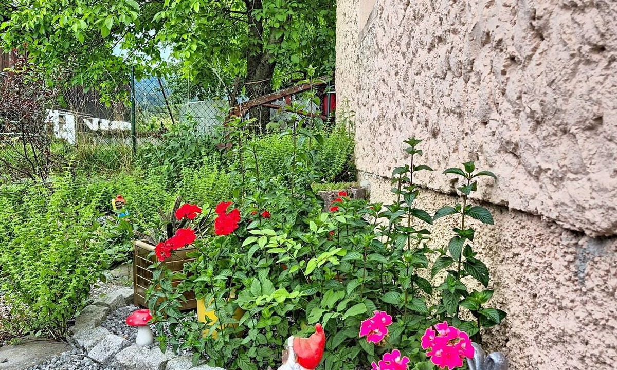 Klaffer am Hochficht Apartment | Cosy apartment for 3 guests with TV, terrace and pets allowed