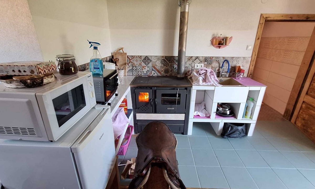 Goessendorf House | Cozy little house with garden, all animals are welcome