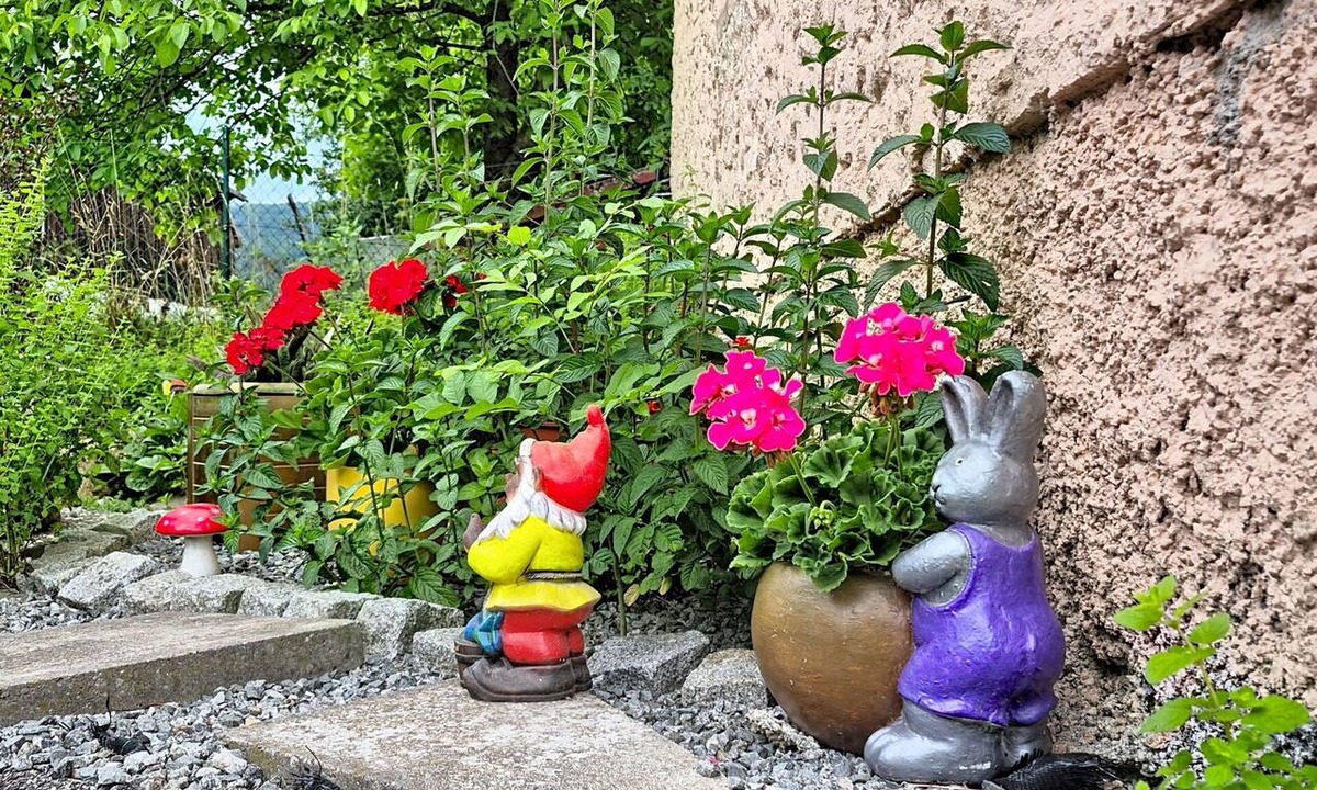 Klaffer am Hochficht Apartment | Lovely apartment for 4 people with TV, terrace and pets allowed