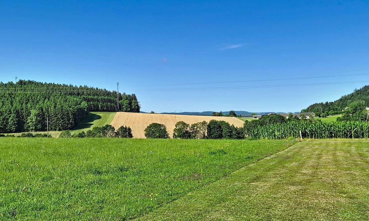 Klaffer am Hochficht Apartment | Nice apartment for 3 guests with TV, terrace and pets allowed