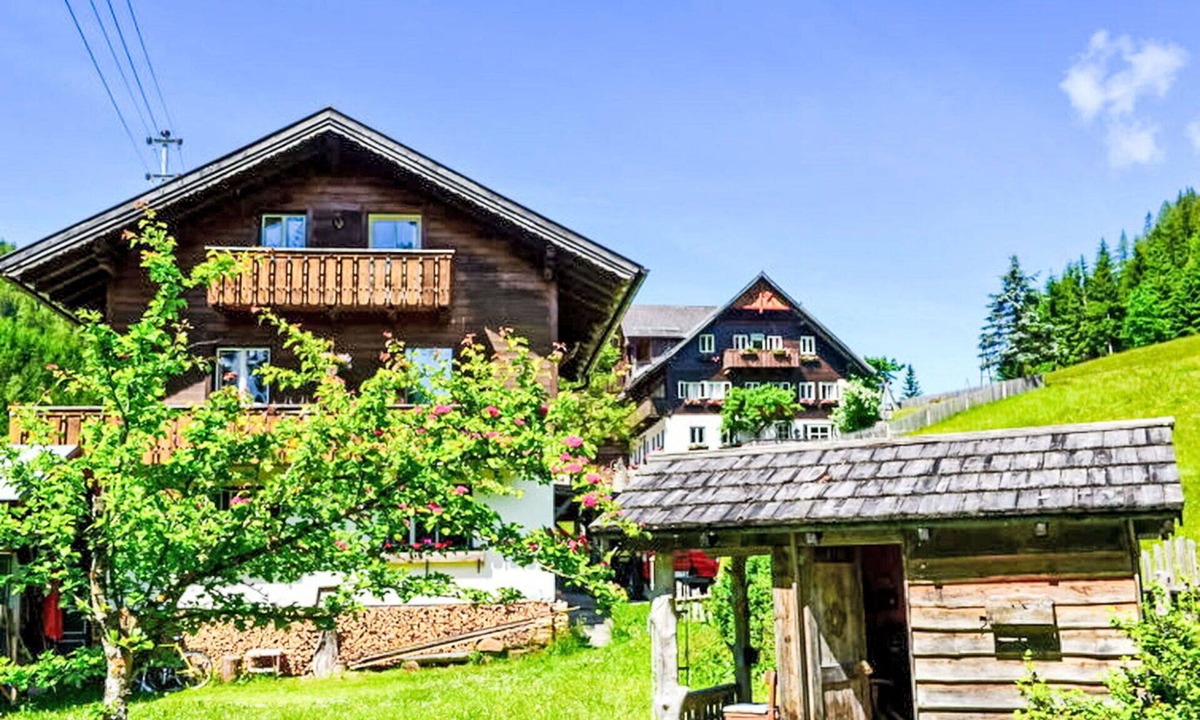 Ramsau am Dachstein Apartment | Nice apartment for 6 people with WIFI, TV, terrace and pets allowed