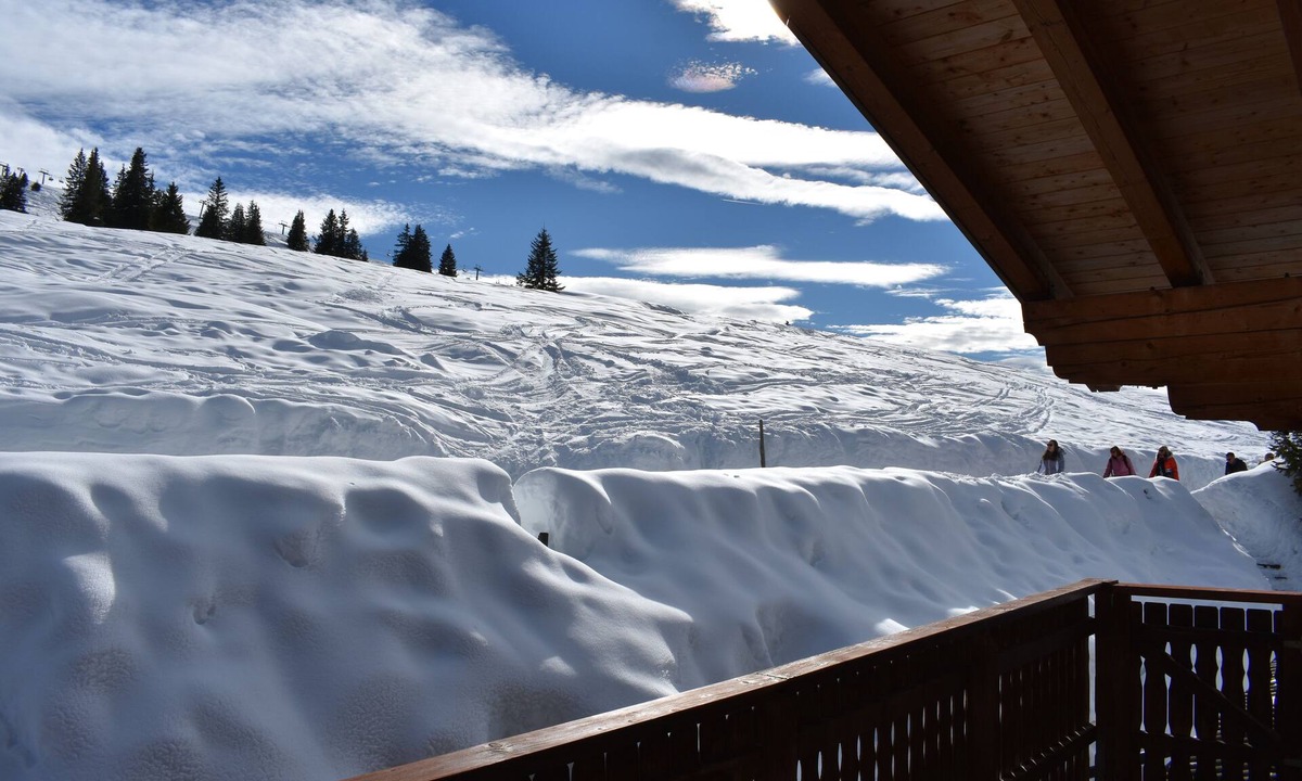 Hochkrimml Apartment | Staudi's ski hut Top8 in hut style directly on the piste Wood-burning stove
