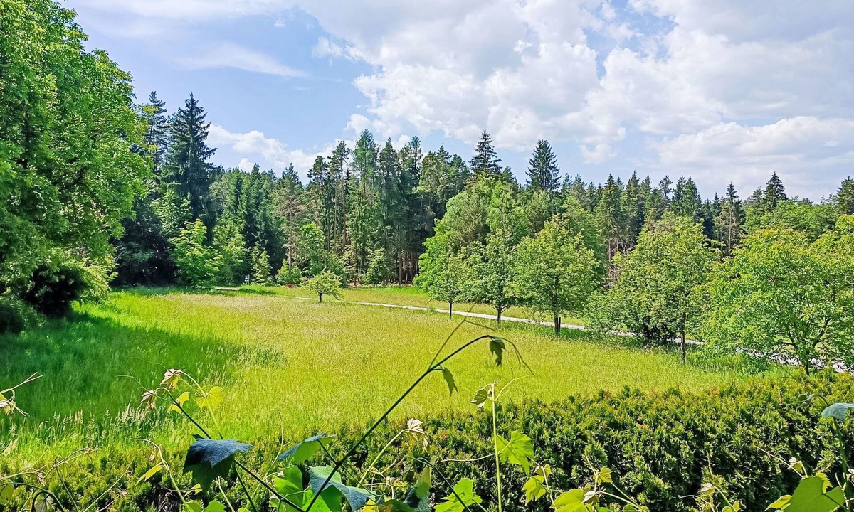 Schiefling am See Apartment | Wörtherseenahe Ferienwohnung im Grünen by Interhome