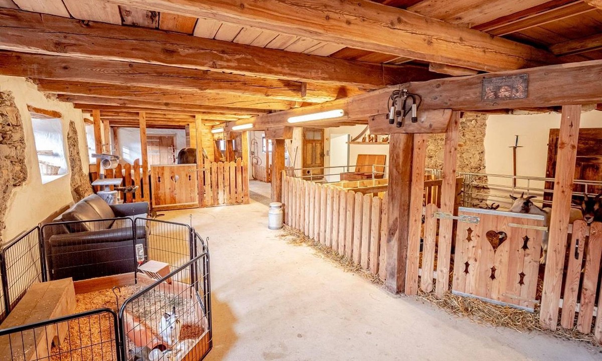 Schildlehen Apartment | Waldrebe /fewo, 2 Schlafräume, 2 Badezimmer - Zeiserhof