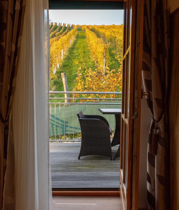Großklein House | Weinberghaus am Burgstallkogel