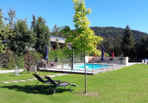 Haus am Wald * Apartments with pool * Child-friendly * Bathing beach * Faaker See *