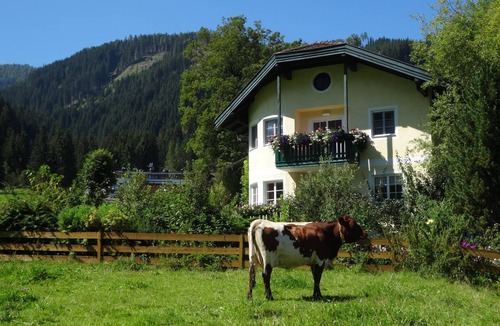 Flachau Apartment | 30 m² Apartment ∙ 1 bedroom ∙ 2 guests