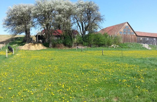 Bischofstetten House | A-Sissy-Hof