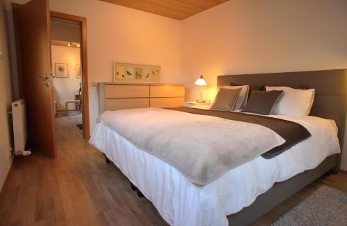 Oetztal-Bahnhof Apartment | Apartment Amberg