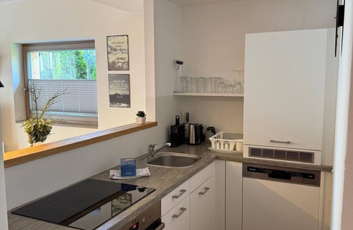 Rohrmoos-Untertal Apartment | Apartment with 1 bedroom and sauna area
