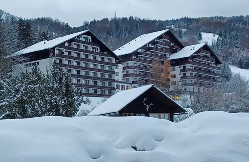 Bad Goisern Apartment | Mountain retreat in a private secluded spot great for families in spacious flat