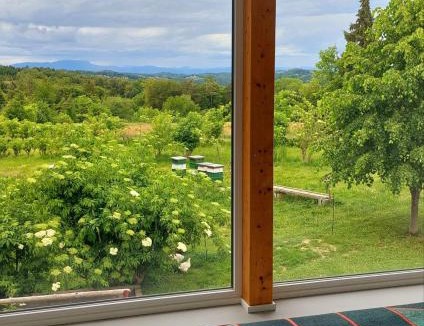 Kirchbach in Steiermark Apartment | Beim Bergjosl