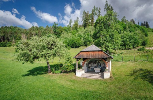 Mitterberg-Sankt Martin Apartment | Boutique Farmhouse Apartment with Panoramic Views & Schladming-Dachstein Card