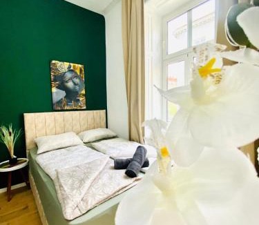Matzleinsdorf Apartment | Budget Private Rooms in 8-Bedroom Apartment with Terrace