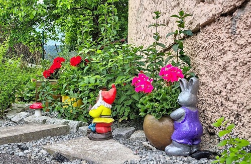 Klaffer am Hochficht Apartment | Cosy apartment for 2 people with TV, terrace and pets allowed