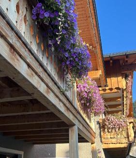 Gosau Apartment | Dachstein 7