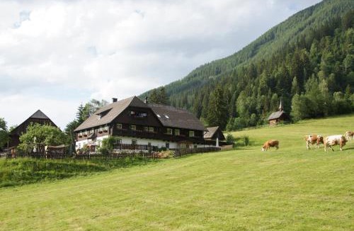 Donnersbachwald Apartment | Der Perweinhof