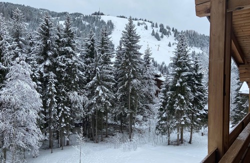 Hinterthal Apartment | Dream apartment "WILDBACH" in the enchanting Hinterthal am Hochkönig