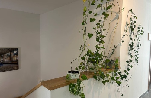 Kremsmuenster Apartment | FarawayHomes Aparthotel Kremsmünster #11