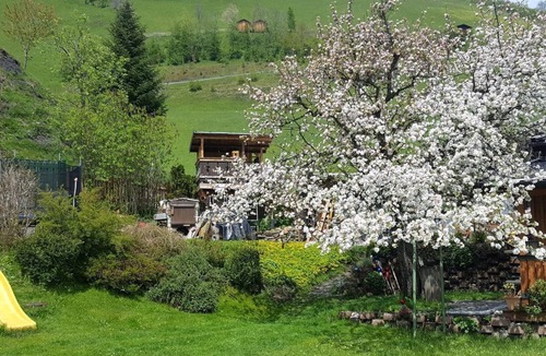 Woerth Apartment | Ferienhaus Gschwandtner - Holiday home, separate toilet and bath/shower, 4 bedrooms