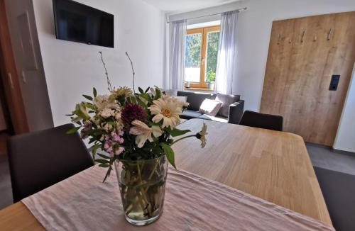 Annaberg im Lammertal Apartment | Ferienwohnung Hirscher