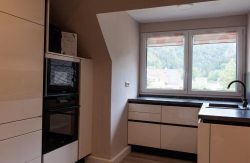 Mixnitz Apartment | Ferienwohnung Mixnitz-Bärenschützklamm 1