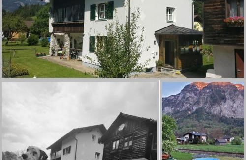 Obertraun Apartment | Ferienwohnung Stricker