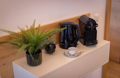 Furth Apartment | FESH LIVING 1 - smart luxury apartment with sauna near Zell am See/Kaprun