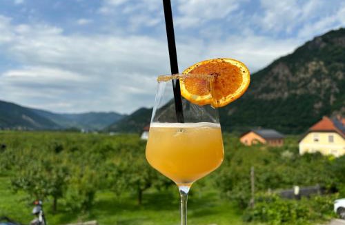 Aggsbach Markt Hotel | Gasthof zur Venus by Mistelbauer