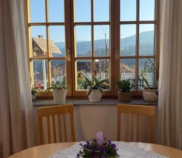 Kirchberg am Wechsel Apartment | Großes Paradies am Gries