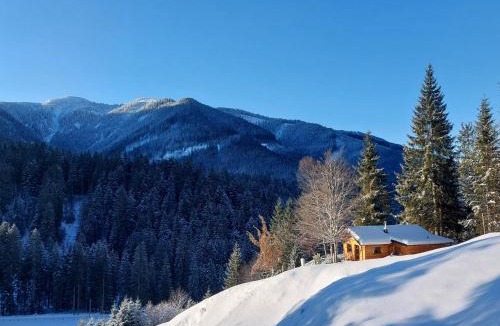Annaberg im Lammertal House | Hütte Neuhaus