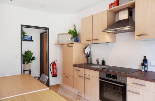 Mayrhofen Apartment | Holiday Apartment 'Tux' with Mountain View, Garden, Terrace & Wi-Fi