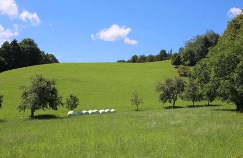 Kirchschlag in der Buckligen Welt Apartment | Idyllisches Haus mit Garten und Saunahütte in der Natur