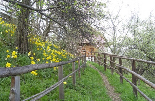 Sankt Corona am Wechsel Other | Jagahaus - Kronaushof