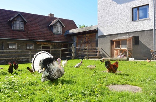 Sankt Corona am Wechsel Other | Jagahaus - Kronaushof