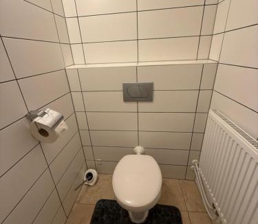 Schwanenstadt Apartment | Modern Zimmer Schwanenstadt