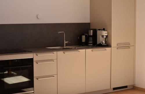 Pragraten Apartment | Modern apartment with terrace for mountain enthusiasts
