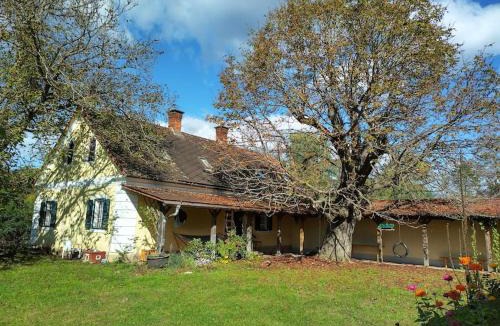 Halbenrain House | Mosti`s Häuschen am See