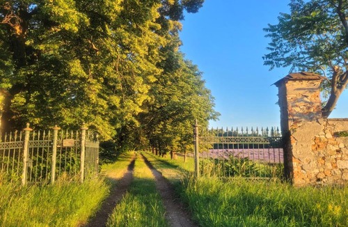 Schrattenthal House | Schloss Schrattenthal
