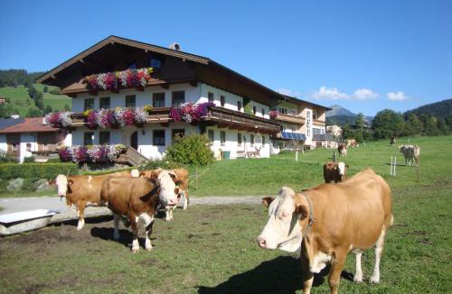Niederau Apartment | Sixenhof