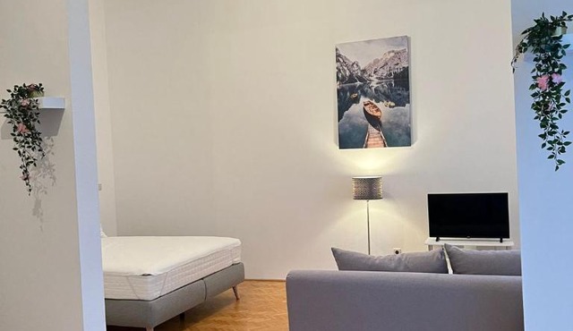 AlPa 2 Zimmer Wohnung in Wien Rochusmarkt