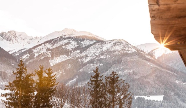 Alpine View Apartments