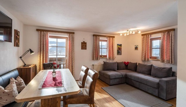 Apartment 1 - Panoramic view - Appartements Grünholz
