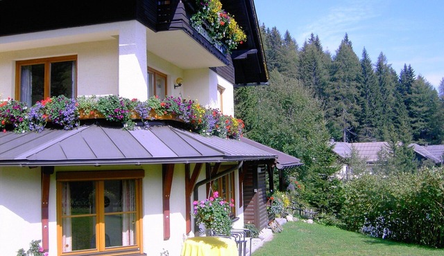 Apartment Nassfeld near Ski Slopes