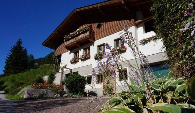 Apartment on the Sonnseitweg in the Grossarl Valley