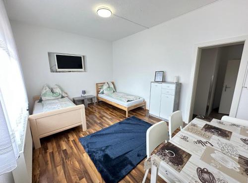 Appartement Schwanenstadt
