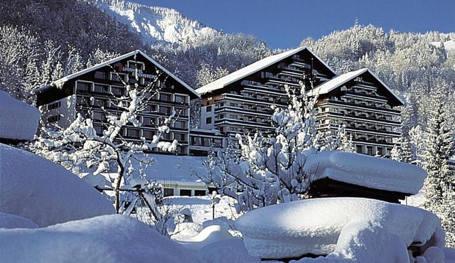 Appartement-Hotel Dachstein